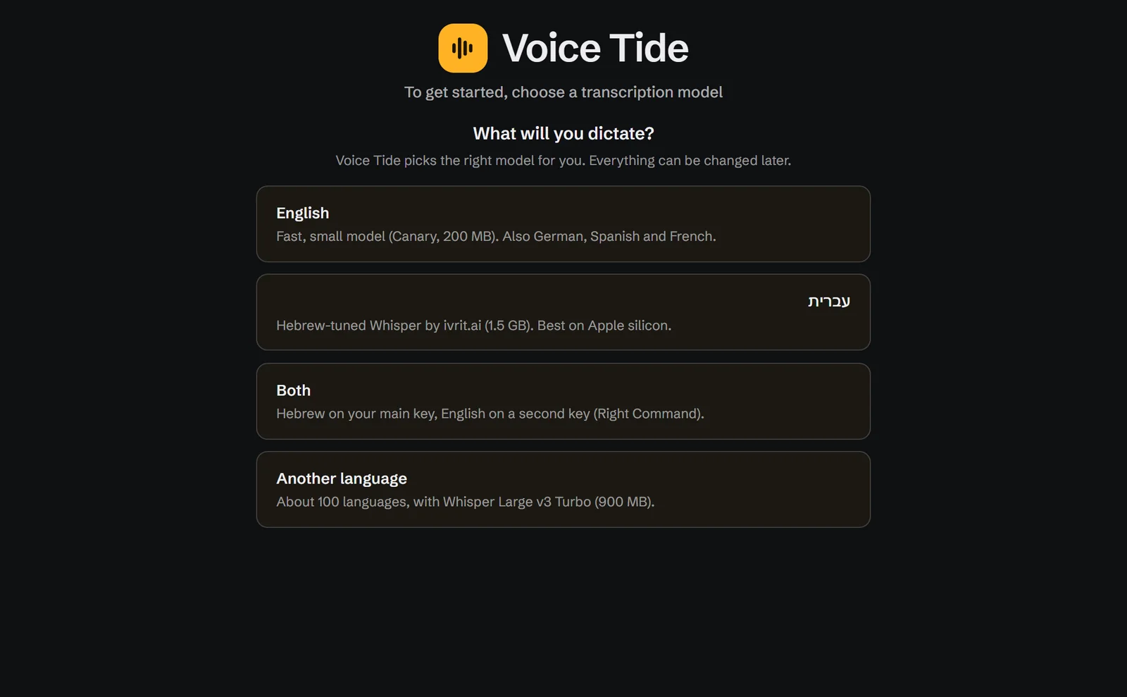Setup asks what you will dictate: English, Hebrew, both, or another language